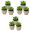 9 Plantas Suculentas Simuladas De Para Decoração 5