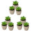 9 Plantas Suculentas Simuladas De Para Decoração 4
