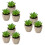 9 Plantas Suculentas Simuladas De Para Decoração 9