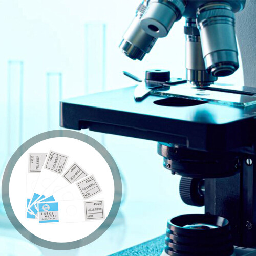 5Pièces Lames Préparées Pour Microscope Usage Éducatif Transparentes 1