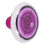 Clip Golf Violet Fer Usage 6