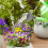 4 Pcs Plastic Watering Can Sprinkler Head Replacement Accessory 4