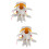 2 Pcs Human Spine Model Lumbar Disc Herniation For School 7