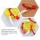 8Pcs Baby Safety Pin Multi-Functional Decorative Crafts 11