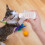 4 Sets Pet Feeding Bottle For Cats Puppies 3