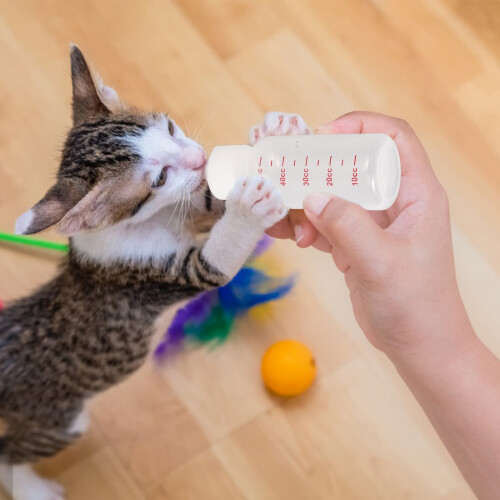 4 Sets Pet Feeding Bottle For Cats Puppies 2