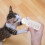 4 Sets Pet Feeding Bottle For Cats Puppies 5