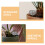 16 Dünger Korb Rund Für Bonsai Orchidee 6