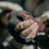Duck Calls Eendenfluit Jacht Signaal Eendenlok Pheasant 5