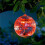 Luces Led Flotantes Para Piscina Y , Color , Solar 6