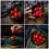 Ceramic Salad Bowl Fruit Pudding Serving Bowl Household Food 7