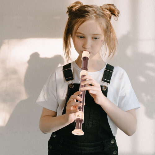 One Set English Style High Pitch Clarinet For Practice 2