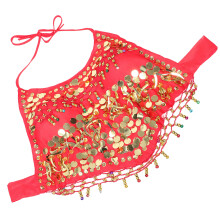 Sequin Belly Dancing Top For Women Sparkly Costume Bra Tribal Festival