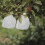 100Pcs Grape Nursery Bag Drawstring Waterproof Vegetable Breeding Bag 6
