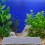 Fish Tank Filter Cotton Pad Aquarium Supply 9