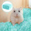 Water Absorption Paper Sawdust Small Pet Bedding 2