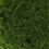 Palla Artificiale Verde Per Decorazione 8