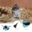 Interesting Chinchilla Bed Comfortable Hamster Hammock For Guinea Pig 11