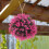 Faux Topiary Decoratie Kunstmatige Buiten Hangend 5