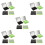 5 Sets Portable Oil Absorbing Sheets With Mirror And Puff 6