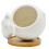 3Pcs Animal Style Ceramic Succulent Planter Pot for Home 1