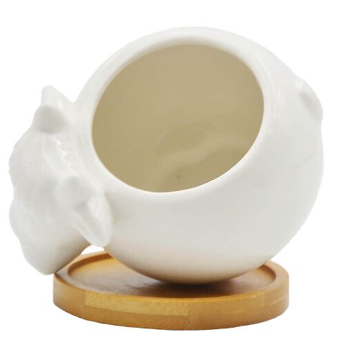 3Pcs Animal Style Ceramic Succulent Planter Pot for Home