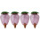 4Pcs Plastic Strawberry Self-Watering Insert Device 4