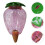 4Pcs Plastic Strawberry Self-Watering Insert Device 10