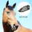 Para Caballo: Malla Transpirable Con Protección Facial 3