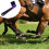 5Pcs Grip Hoof Brush Rubber Horse Grooming Tools 6