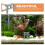 Creatieve Grijs Torii Ornament Visbak En Tuindecor 8