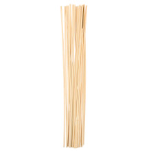 40 Pcs Garden Plant Support Sticks Flower Stakes Climbing Stands