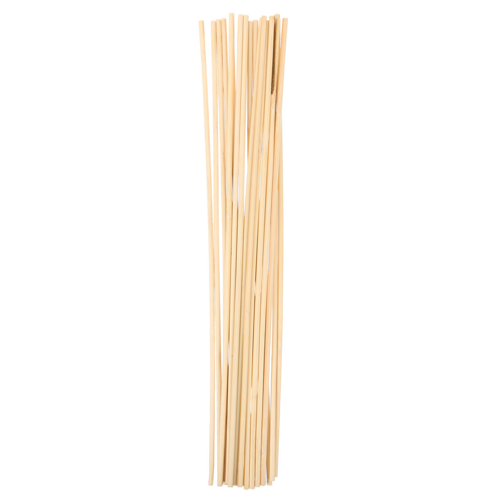 40 Pcs Garden Plant Support Sticks Flower Stakes Climbing Stands-image-OPC-PKX75JP-NEW