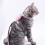 One Set Adjustable Cat Harness And Leash For Kitten Outdoor Walking 8
