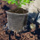 Plants Root Mesh Net Wire Basket Protection Bag Metal 6