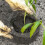 Plants Root Mesh Net Wire Basket Protection Bag Metal 8