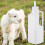 1 Set 850Ml Plastic Lamb Feeder Bottle With 10 Silicone Teats 10