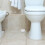 6 Sets Shower Floor Drain Backflow Preventer Hose Plug 6