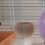 2Pcs Small Animals Coconut Shell Feeder Hamster Feeding Bowl Nest 11