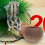2Pcs Small Animals Coconut Shell Feeder Hamster Feeding Bowl Nest 3