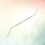 Stainless Double Head Moving Needle Tool For Larvae Worms 2