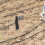 de agrícola resistente para , excavación y 7