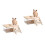2Ensembles Litière Transparent Hamster ABS + Bois Avec Bac Échelle 4
