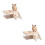 2Ensembles Litière Transparent Hamster ABS + Bois Avec Bac Échelle 6