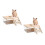 2Ensembles Litière Transparent Hamster ABS + Bois Avec Bac Échelle 7