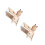 2Ensembles Litière Transparent Hamster ABS + Bois Avec Bac Échelle 5