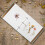 Album Adesivo Per Scrapbooking Con Pagine Per E 6