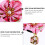 2 fermagli giapponesi per , accessorio decorativo per 10