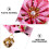 2 fermagli giapponesi per , accessorio decorativo per 9
