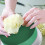 6 blocos redondos de espuma floral para flores secas e 6